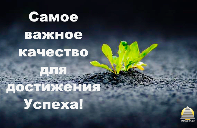 Самое важное качество для достижения Успеха!