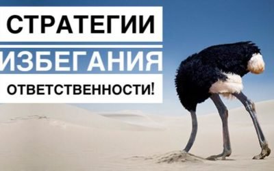 Стратегия избегания ответственности