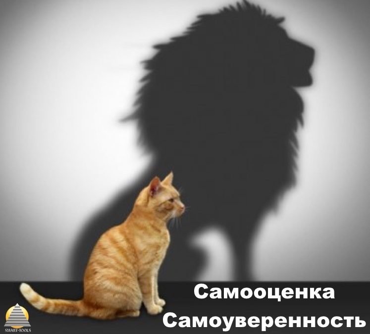 Самооценка — самоуверенность