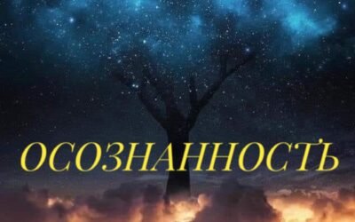 4 ОТТЕНКА ОСОЗНАННОСТИ